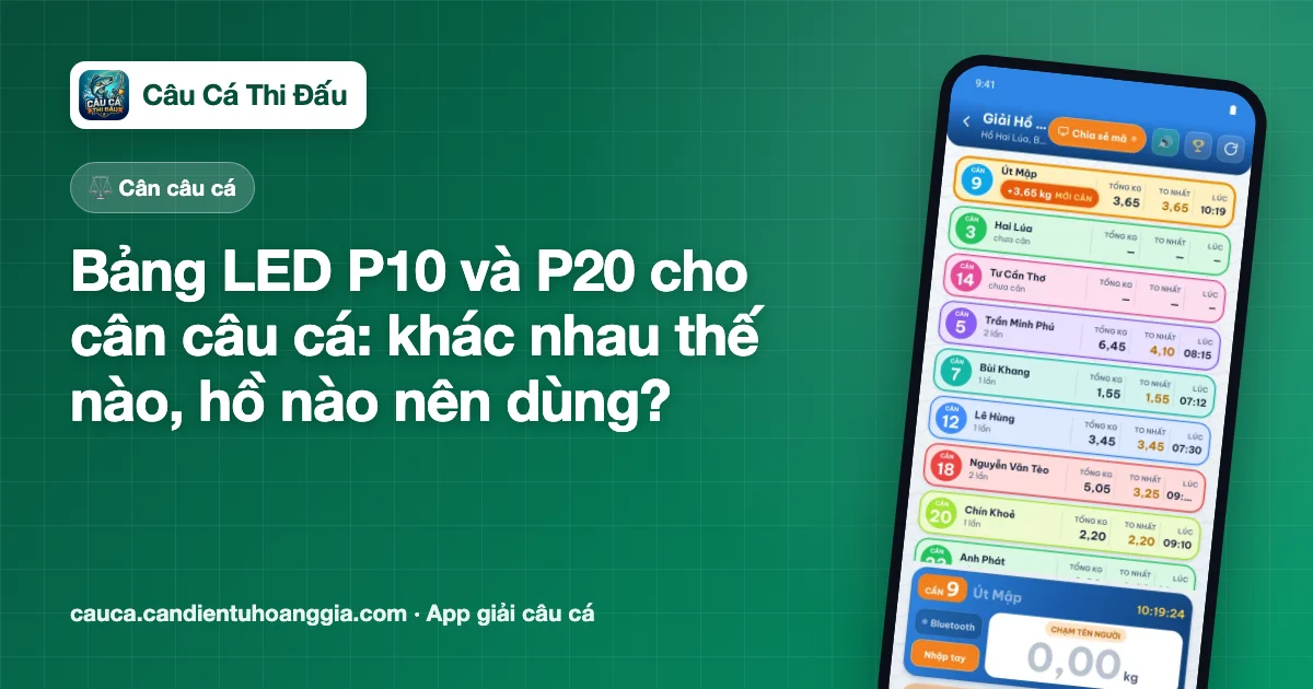 Bảng LED P10 và P20 cho cân câu cá: khác nhau thế nào, hồ nào nên dùng?