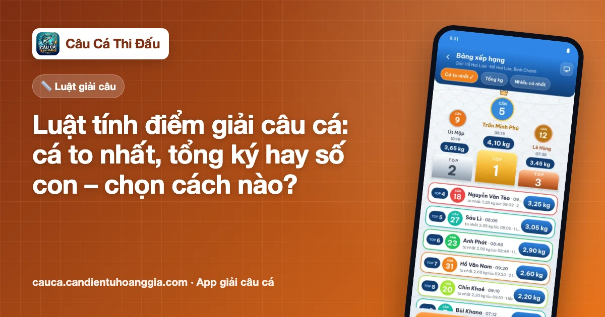 Luật tính điểm giải câu cá: cá to nhất, tổng ký hay số con – chọn cách nào?